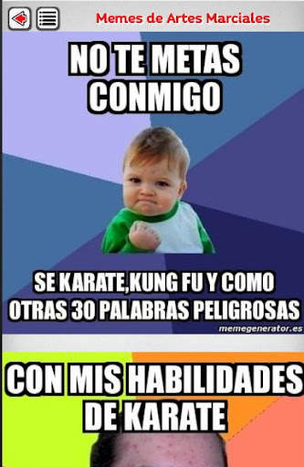 Artes Marciales - Lecciones screenshot 8