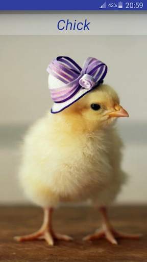 Cute Animal Sounds screenshot 7
