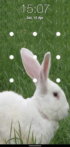 Bunny Pattern Lock Screen screenshot 4