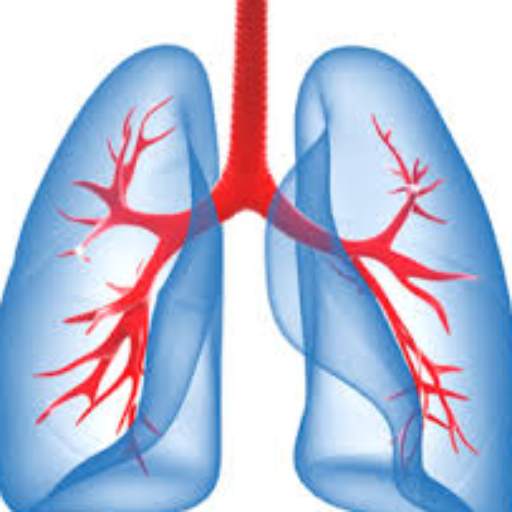 Breaths & Lung Sounds 1.0