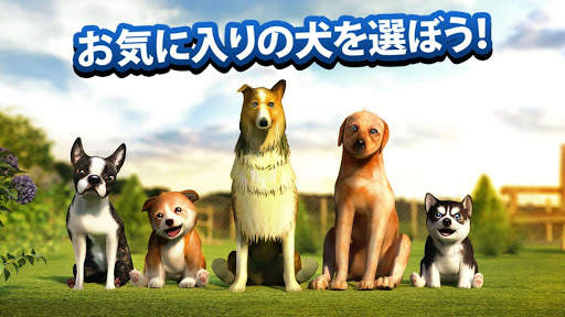 犬 Dog Simulator screenshot 3