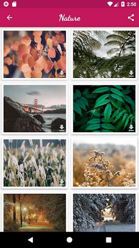 My HD Wallpapers screenshot 3