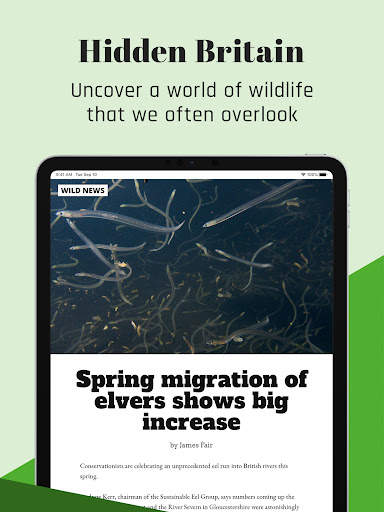 BBC Wildlife Magazine screenshot 13
