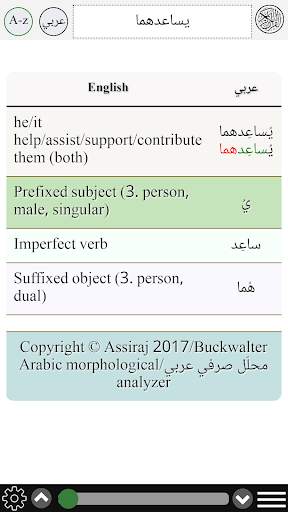 Arabic verb conjugation screenshot 4