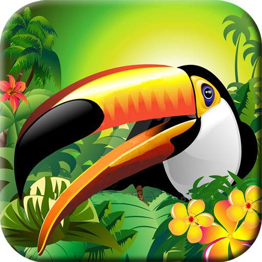Treasure Temple Jungle Run 1.0