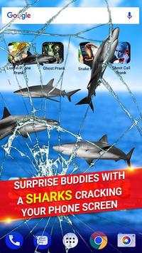 Shark Break Phone Prank screenshot 1