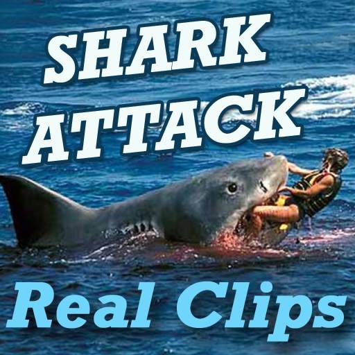 SHARK Attack Videos - Live Real Time Funny Clips 2.0