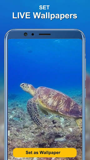 HD Walls Pro - Live Wallpapers & Backgrounds 4K/3D screenshot 1