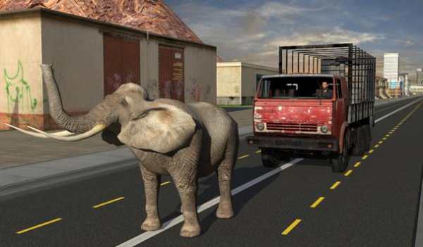 Elephant Racing Simulator 2016 screenshot 13