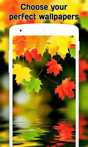 Autumn Wallpaper (4k) screenshot 15