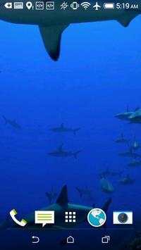 Sharks HD Video Wallpaper screenshot 3