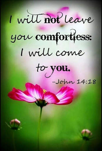 Bible Daily Verses screenshot 8