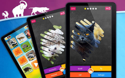 Scratch Game: Animals Quiz screenshot 9