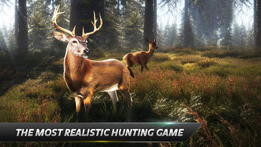 The Hunter 3D : Hunting Game screenshot 1