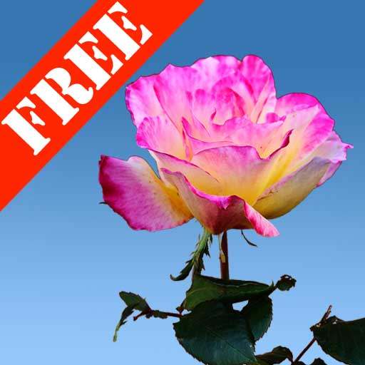 Rose Garden Free LWP 2.0