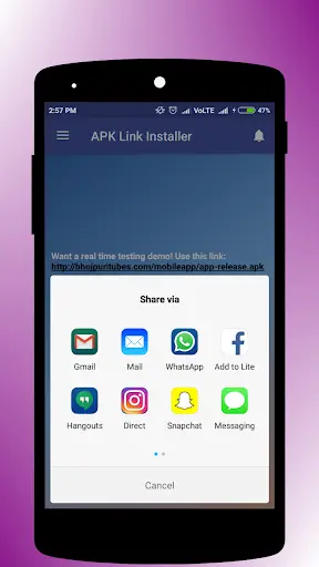 APK Link Installer screenshot 2