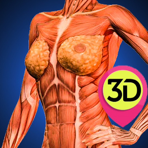 Female Anatomy : Woman Body Visualizer icon