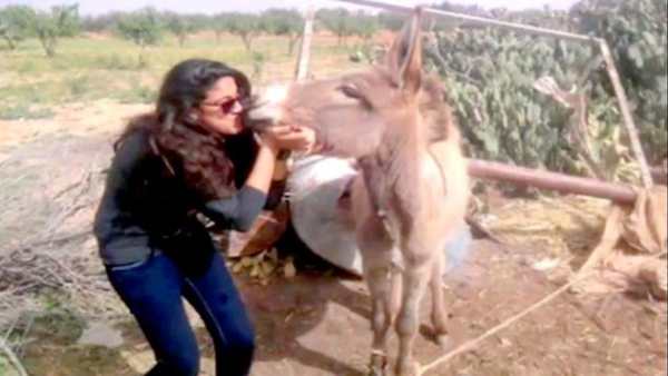 😍😀😆😄 Funny Videos 😄😆😀😍 screenshot 2