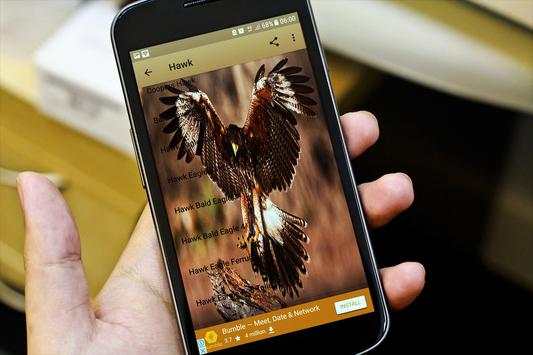 Bird Hunting All Birds Sounds/Calls In One App. screenshot 4