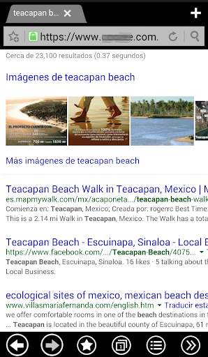 THEME METRO FOR BOAT BROWSER screenshot 1