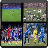 All Sports TV Channel Live HD logo