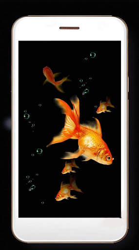 Fish Gold Live Wallpaper screenshot 2