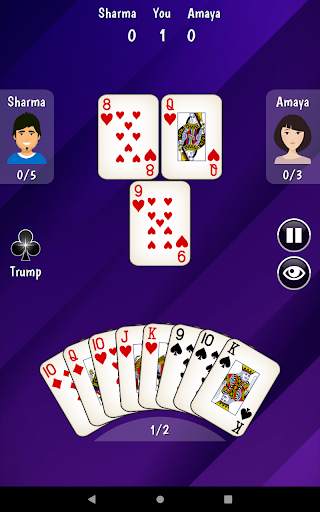 325 Card Game screenshot 9