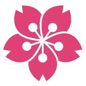Shinto VPN 2.0.2