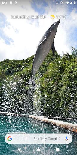 Magic Touch: Dolphins screenshot 6