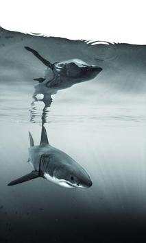 Shark blue sea screenshot 5