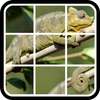 Animals slide Puzzle