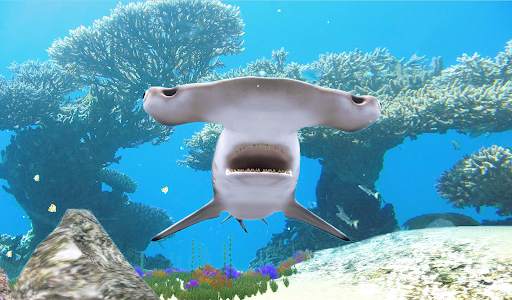 The Hammerhead Shark screenshot 10