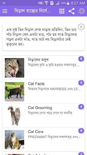 Amar Cat screenshot 1