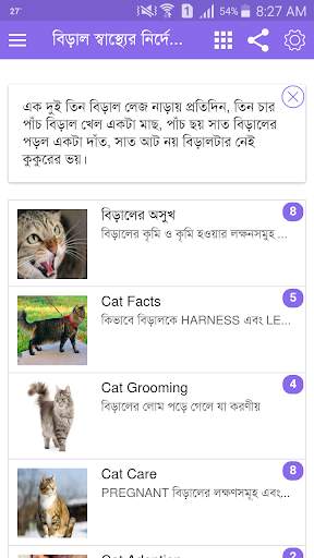Amar Cat screenshot 1