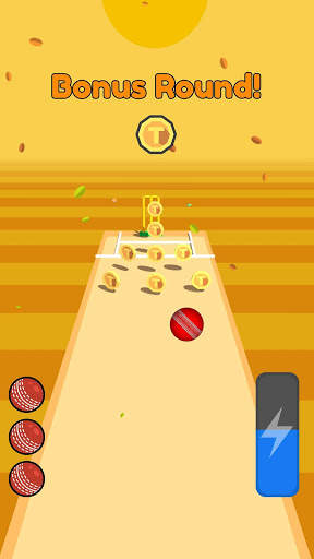 Cricket Bowling screenshot 3