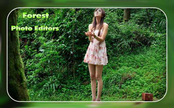 Forest Photo Editor screenshot 1