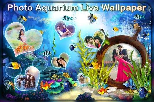 Photo Aquarium Live Wallpaper 1 تصوير الشاشة
