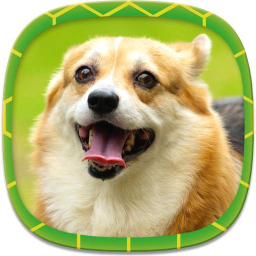 Dog Wallpapers 3.1