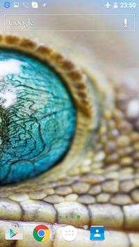 Reptile Live Wallpaper screenshot 4