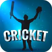 Cricket 2015 1.0