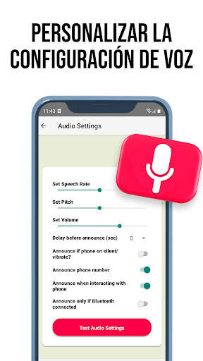 Aviso de voz Pro: quién llama screenshot 5