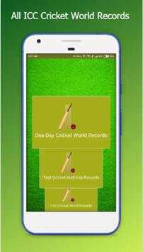 World Record Cricket screenshot 2