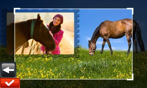 Horse Photo Frames screenshot 5