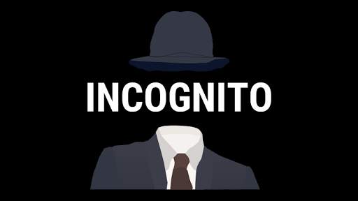 Incognito Web Browser screenshot 1
