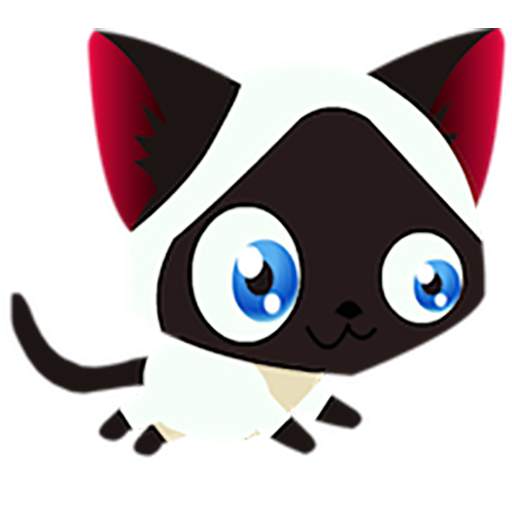 Cat 1.2