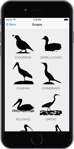 Aves de Chapala screenshot 2