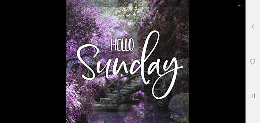 Happy Sunday screenshot 6