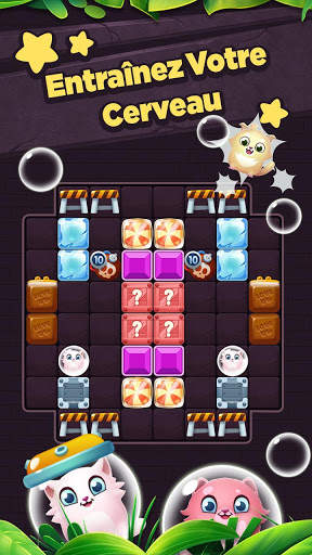 Jeu de puzzle classique en bloc 1010 screenshot 4