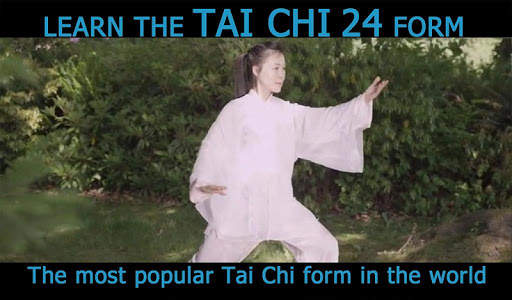 Tai Chi for Beginners 24 Form  screenshot 2