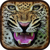 Jungle Cheetah: Real Hunter icon